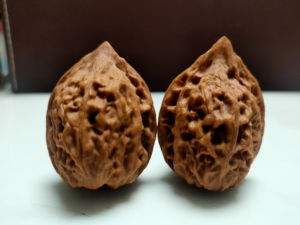 蟒皮纹鸭嘴兽,文玩核桃,皮质顶级,尺寸锁死.