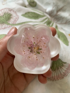 重瓣桃花标本,滴胶永生花,真花手工制作,环氧树脂猫爪摆件,永