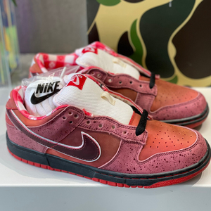 nike dunk sb low lobster 红龙虾