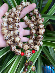 全新 天然花根菩提 花脸菩提 虎斑菩提子 项链手链 手串手持