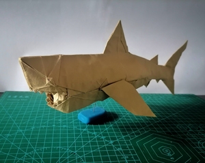折纸神谷大白鲨图片