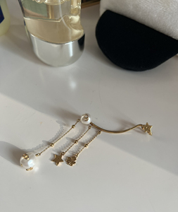 dior三叶草流苏耳环耳夹,超级美,专柜4k多,戴几次,99