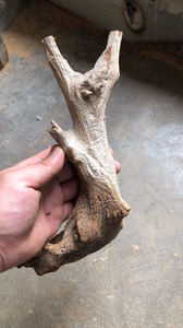 0015人付款淘宝崖柏原木毛料陈化料黑红骨料崖柏木雕根雕手工艺术品