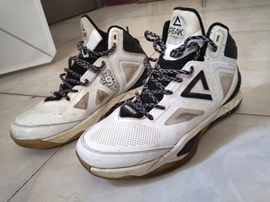 匹克托尼帕克三代帕克3 篮球鞋 41码 很久之前的老鞋了,脚