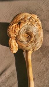 树瘤 松树瘤 松树蛋 根雕 根艺 挂件 摆件 手把件