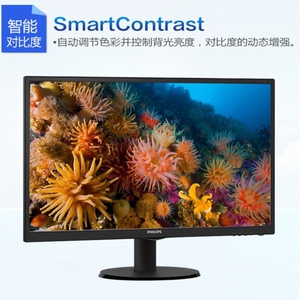飞利浦243v5qsb 23.6英寸显示器 led宽屏mva