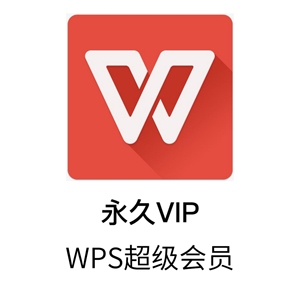 wps超级永久会员安卓版激活非破解pdf转word