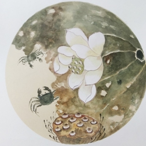手绘禅意荷花图,螃蟹图,50*50熟宣卡纸.寓意和谐相处.接