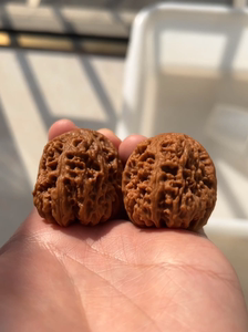 野生老树西北将军膀狮子头文玩核桃