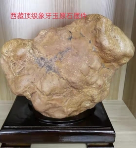 000人付款淘宝西藏丁青象牙玉虫草雕刻件特色民族风冬虫夏草cwqp