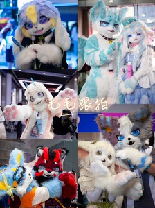 郑州福瑞furry跟拍/场照/正片！欢迎询价扩列！