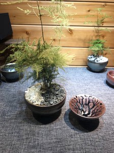 精品特价真宗建窑建盏茶树九龙盏曹斌师傅手作茶盏主人杯