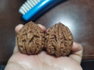 东北野生秋子,文玩核桃,在秋子里算重的,边小尖小,不易断