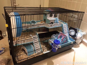 60基础笼!刺猬笼!仓鼠笼!豪华笼子!铁笼!亚克力笼子