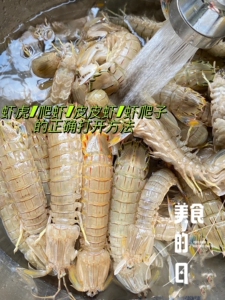 89留夫鸭旗舰