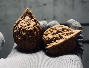 全品 承德鸭嘴兽鸡心狮子头 文玩核桃  鸡血红