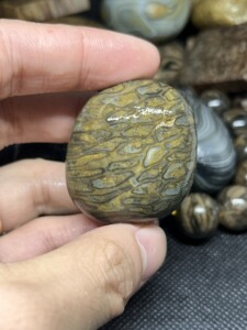 辉木化石 南京雨花石原石