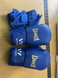 wesing 拳击手套 仅使用过两次 九日山拳击手套 可送全