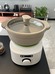 飞利浦汽锅醇汤煲