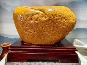 天然黄蜡石鱼籽蜡!天然奇石,观赏石!如金元宝!裸石26x17
