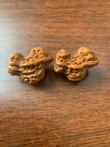 异形核桃,小鸟,东北话叫小巧,有眼睛有翅膀,有钱也找不着系列