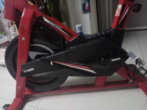 动感单车盖朗德