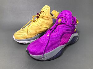 【已验货】 保真验货 lbj14 詹姆斯士兵14代紫金湖人鸳鸯 41码 9