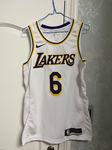 勒布朗 詹姆斯球衣 湖人队 洛杉矶湖人队 6号球衣 nba