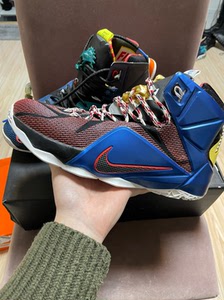 what the lebron12 46码 詹姆斯12 鸳鸯