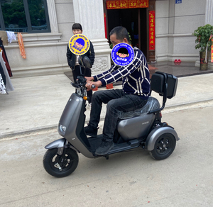 台铃三轮老人电瓶车