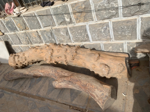 000人付款淘宝杵榆木手串,珍贵木料,百年杵榆老料,南紫檀,北杵榆,看好