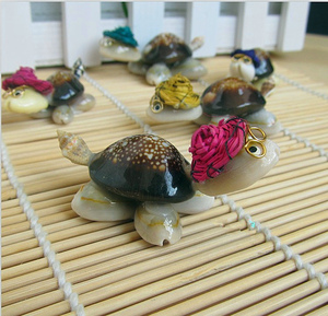 天然大海螺贝壳白珊瑚工艺品 小乌龟博士地摊货源海螺贝壳满