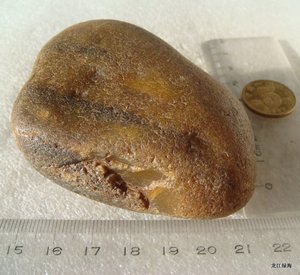 黄玛瑙质 水冲硅化木手玩雕料 木化石原石 天然石头 237克