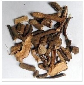 【八爪金龙】八爪金龙品牌,价格 - 阿里巴巴