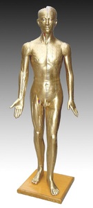 中医教学人体针灸铜人穴位训练模型178CM青铜色模拟人假人橡皮人