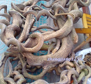 野生药材 过江龙 南蛇藤 老牛筋 南蛇风 过山龙 左右扭,新鲜品