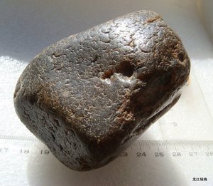 玛瑙质水冲草化玉 天然石头 蕨类化石 指甲纹木化石原石 433克