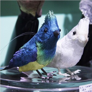 台湾直送绒布蓝色白色荧光仿真小鸟摆件7" 红衣主教花艺素材装饰