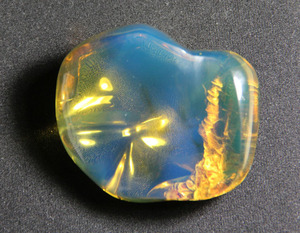 黄金森林天然虫珀精品 多米尼加玻璃体3A级蓝珀原石 珍品收藏