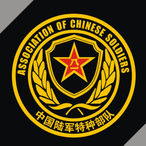 特种兵车贴军标