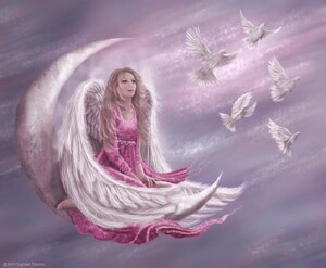 三皇冠十字绣黑白图纸hae-rw1008月亮仙子450-370-79