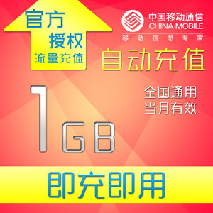 00盛和鑫通信专营店天猫河北移动流量充值 1gb全国上网2g3g4g通用