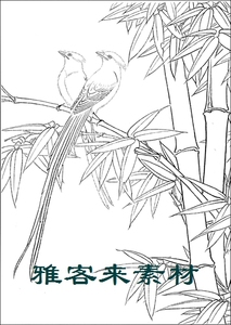 工笔画白描底稿花鸟类线描动物实物打印稿竹林寿带鸟31