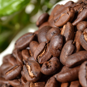 印度尼西亚 迦尤山 曼特宁g1咖啡熟豆 新鲜烘焙body醇厚227g