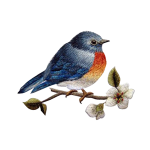 名古绣艺苏绣刺绣diy套件初学手工装饰画材料包带针脚小鸟多尺寸