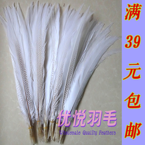 白鸡毛