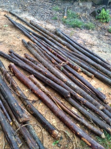 【红椆木】红椆木品牌,价格 - 阿里巴巴