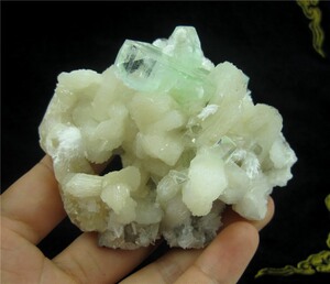 鱼眼石 丝光沸石辉沸石矿物标本原石 Apophyllite 1536