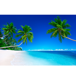 大海风景画海报定制作海边沙滩椰树客厅玄关走廊卧室装饰贴墙挂画