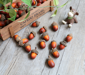 拍摄道具 仿真橡果1个价 橡皮果道具 摄影道具 拍照道具 复古果子